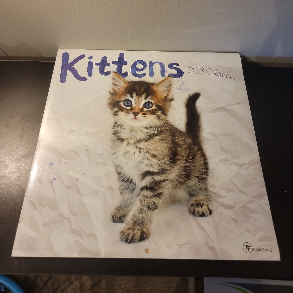 2018 Kittens Calendar